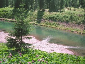 lieux de drague en nature et foret sur Lille et ses environs