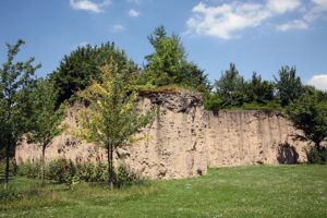 parc et jardin de Matisse a Lille pour rencontre naturiste et exhib