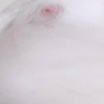 Plan cul réel sur Bailleul